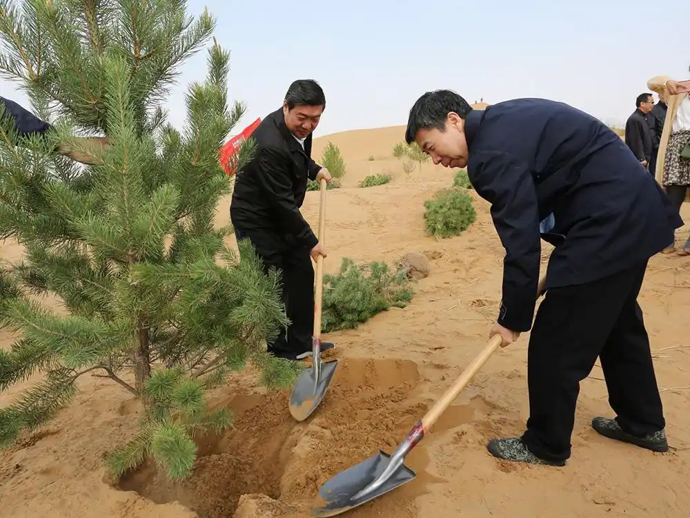 "塔克拉玛干"沙漠如何才能变为森林?摆在面前最大的问题是啥?