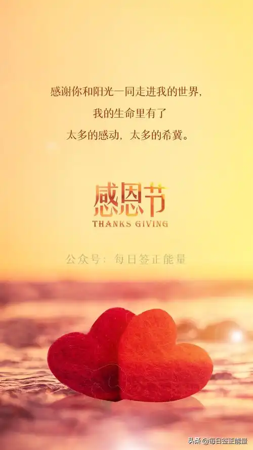 13关于感恩朋友相助的美文(感恩朋友相助的短语) _晶羽文学网