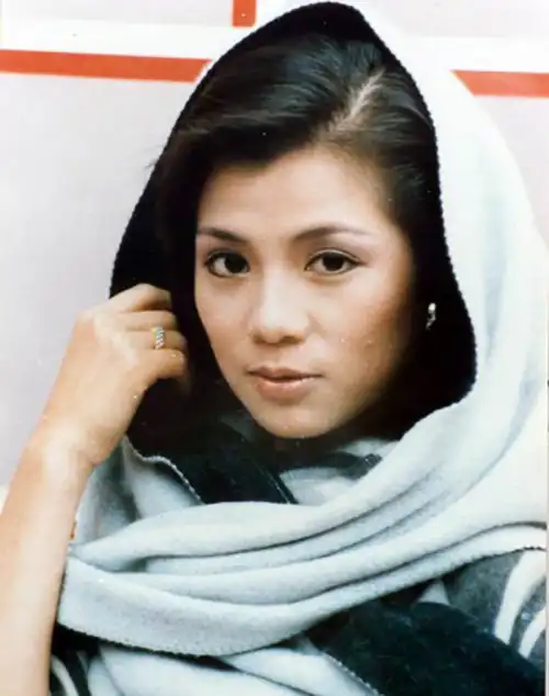 香港警方在调查此案时定为"怀疑自杀案",因为翁美玲生前未留下遗书,也