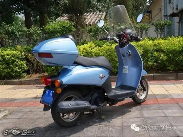 城市精灵新大洲本田自由today