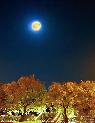 【北京的月亮分外明】成立摄影