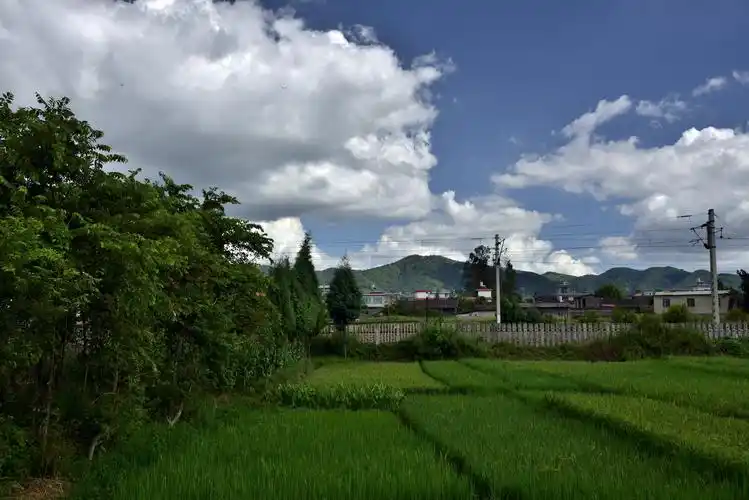 蓝天白云下的乡村风景