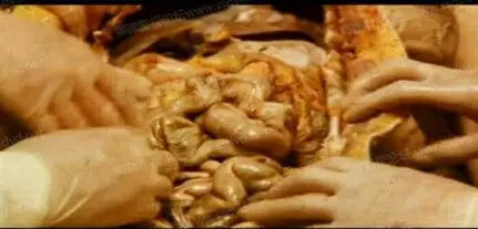 解剖活人这鲜血淋漓的画面看得人也是胆颤心惊吧.