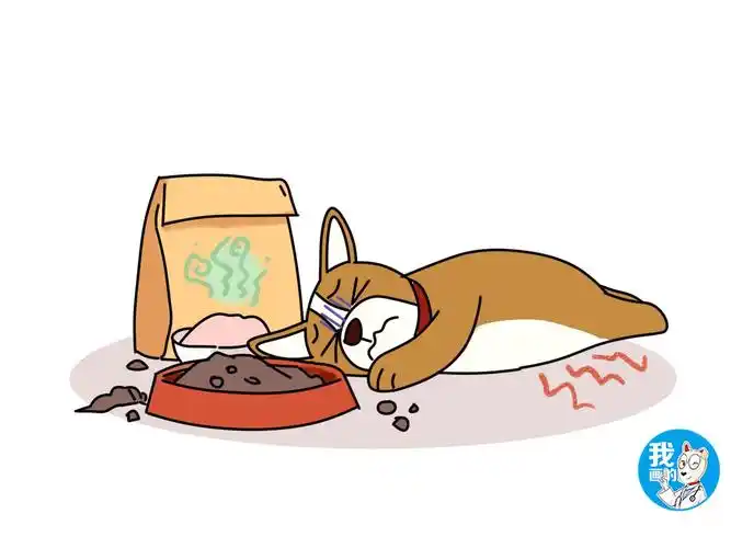 狗狗患胃炎无法避免兽医教你如何预防疾病的侵袭