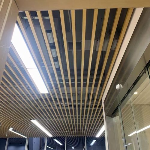 网红吊顶方通长条客厅商场定制条形长方形简约格栅新款吊顶阳台