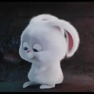 爱宠大机密兔子头像高清图爱宠小白兔头像图片
