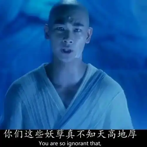 赵文卓大威天龙的表情包大全