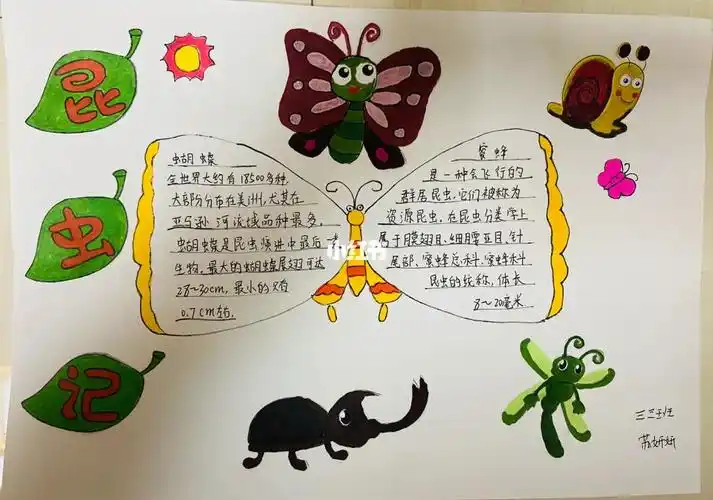 昆虫记手抄报