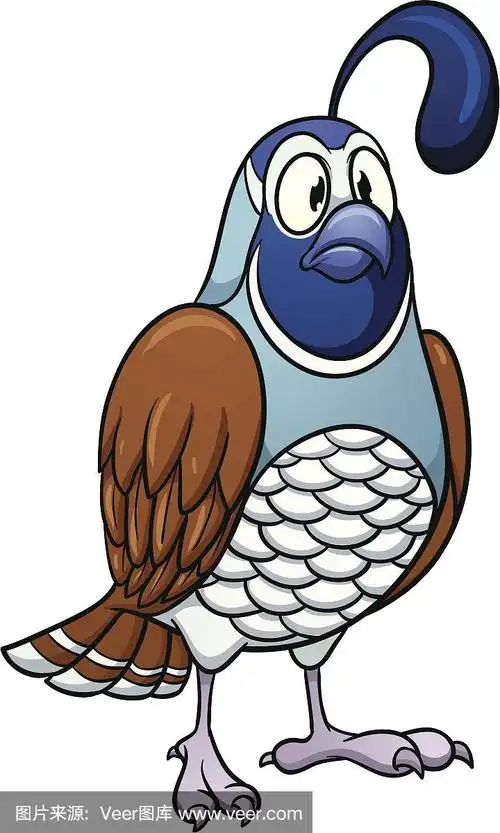 卡通鹌鹑