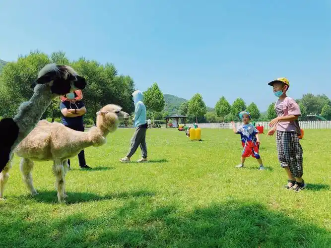 大连亲子遛娃推荐铭湖温泉牧场