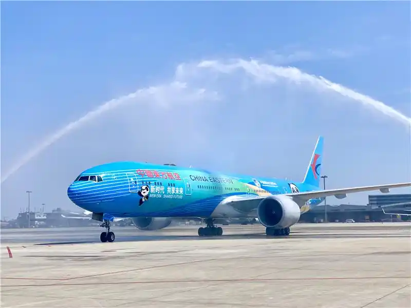 东航波音777-300er"进博号"彩绘机,南航空客a380客机,川
