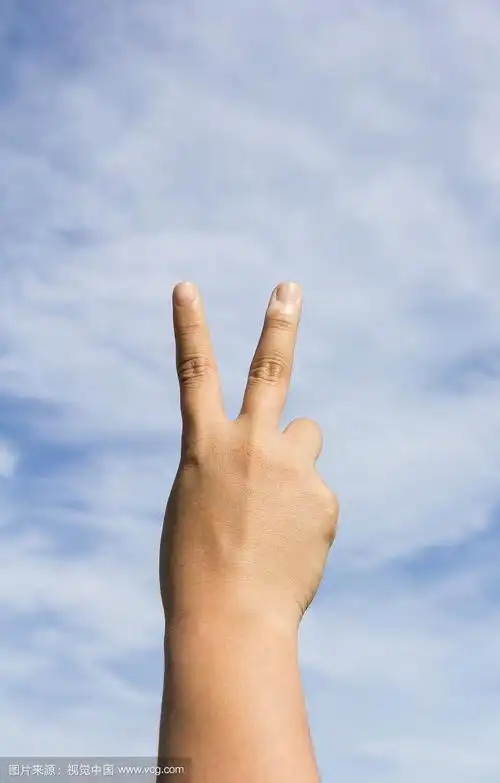 手做胜利手势