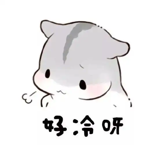 仓鼠表情包:冷到发抖了
