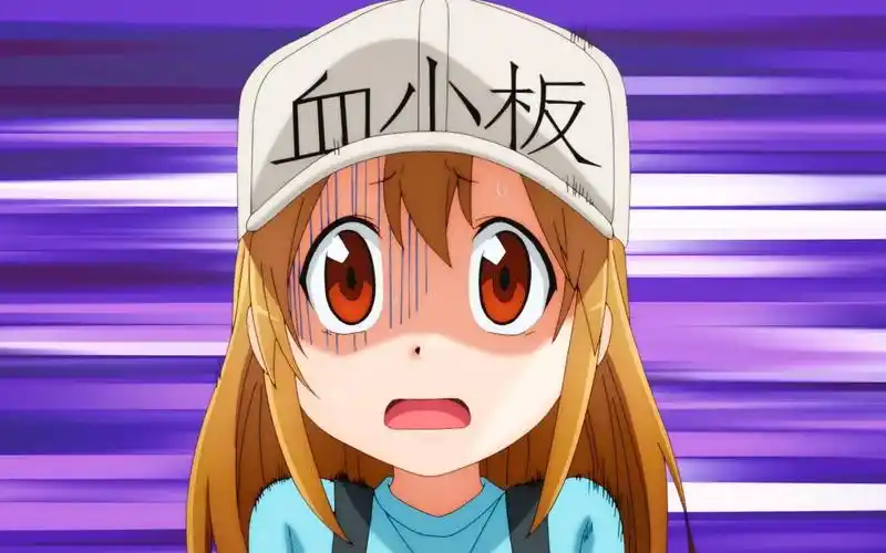 一分钟彻底爱上血小板,好想带回家啊!