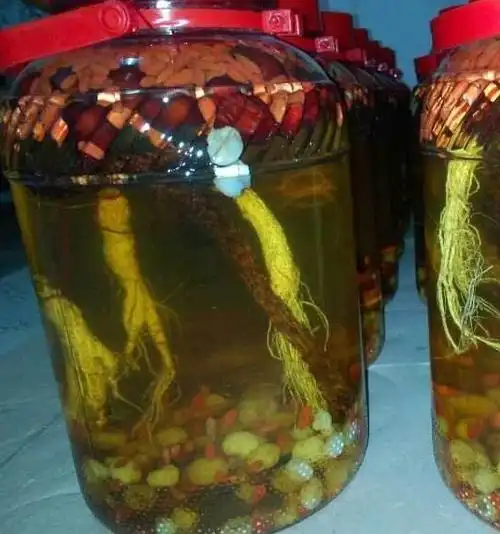 红参功效与作用_红参泡酒的功效与作用_鹿茸红参泡酒功效作用