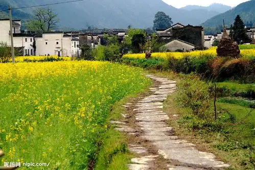 春天气息的乡间小路图片