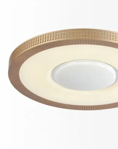 星玄金色led吸顶灯30w(含光源)