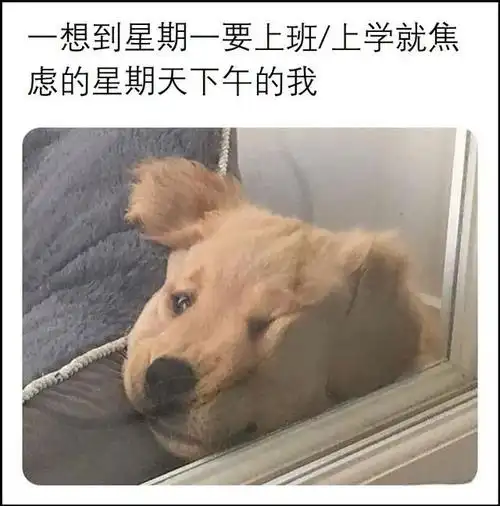 天津相声广播现世报67见过的剧情最跌宕起伏的横幅