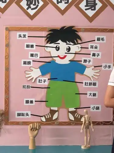 我们的身体都有哪些部分?都有什么功能?老师为小朋友们一一解答