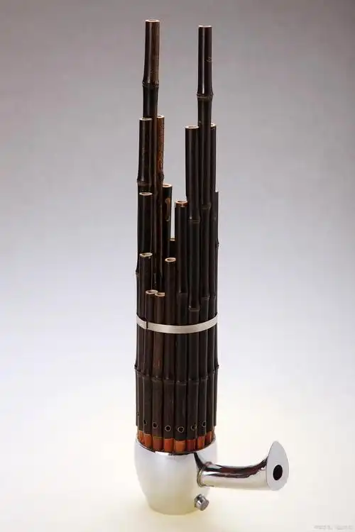 世界上最早使用自由簧的乐器是笙