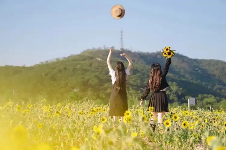 人与人最舒服的关系降低期待