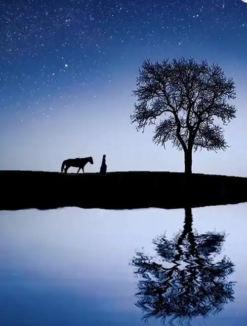 一人一马一天涯 一生一世一西沙 无悲无喜无牵挂-度小视