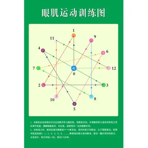 挂画 眼部肌肉活动示意图 眼肌运动视力训练挂图大图 眼肌运动训练图