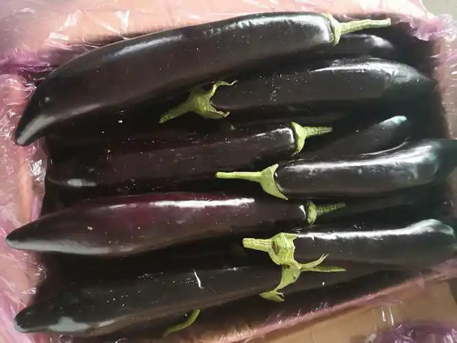 4月1日一4月10日蔬菜标准