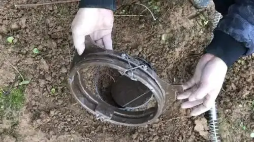 捕野猪钢丝套子视频在线观看 - 西瓜视频