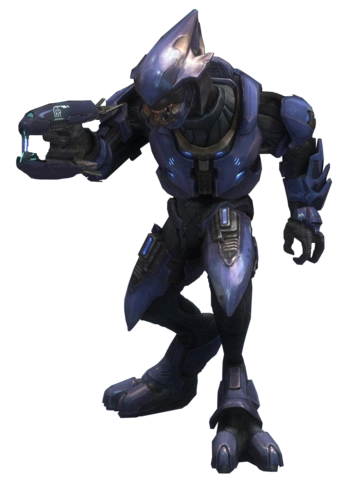 光环2周年纪念版系统详解