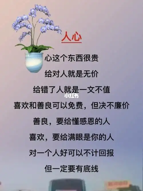 人心_人生感悟_治愈系_语录_情感_素材_文字素材