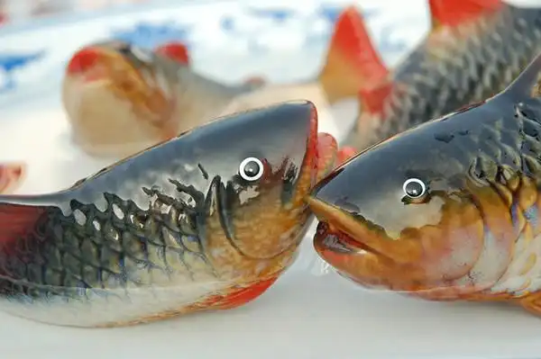 【免费试吃】5月20日豆豆鱼火锅