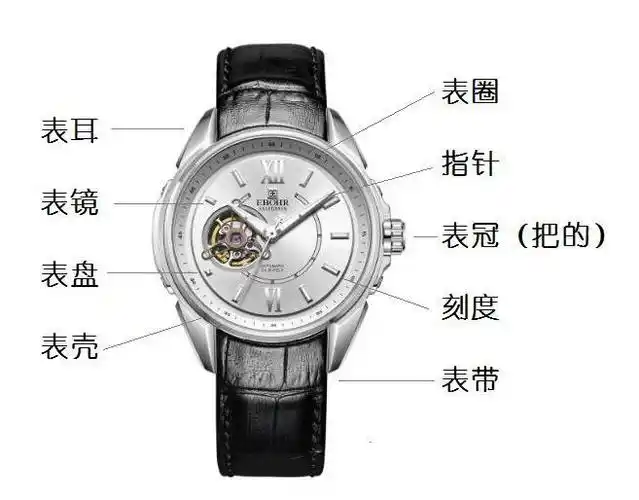 表耳表壳突出的部分,是连接表带与表壳的关键零件.