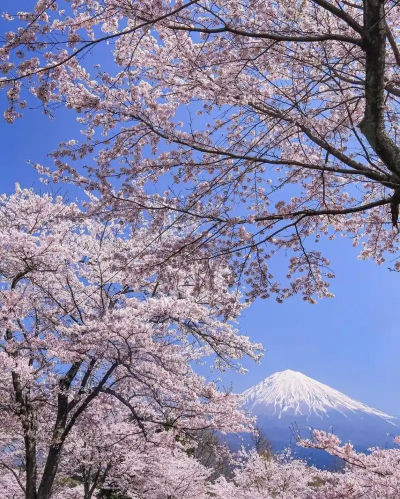 超好看的图片分享 下载保存的一些些好看的图片