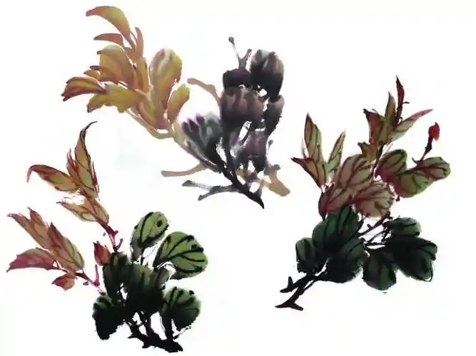 零基础国画教程:分步骤讲解牡丹叶子画法,简单易学,一起来临摹