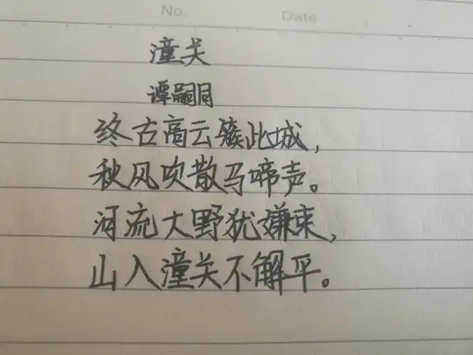 每日一诗[潼关]