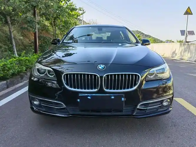 宝马 宝马5系  2014款 525li 豪华设计套装图片