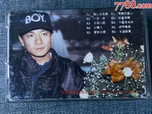 刘德华演唱专辑《一生一次》