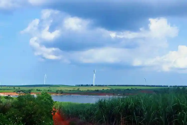 有一个美丽的地方叫徐闻