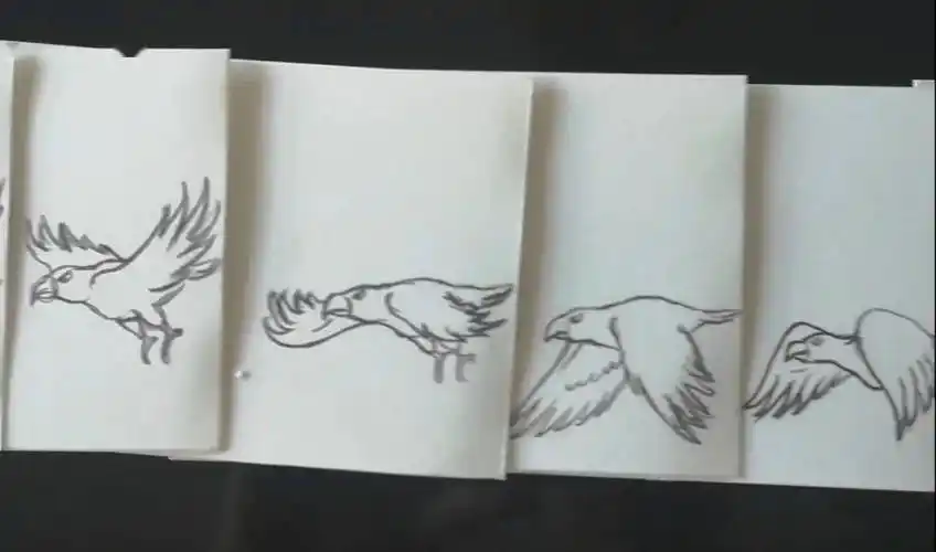 【微课堂】小小a4纸手翻书动画,一起来动动手指吧~_创作