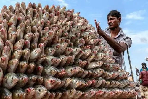 捕鱼人的收获! 摄影