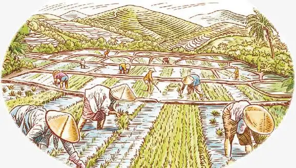 稻田素材免费下载_觅元素