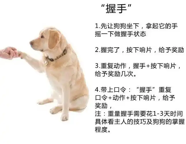 厂家直销宠物训练用品 训犬器训狗器口哨响片二合一 户外救生哨子