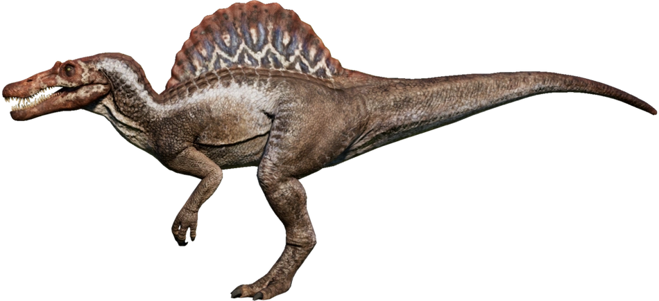 p>棘龙,是电影《侏罗纪公园3》里出场的恐龙,因其夸张的战斗力设定