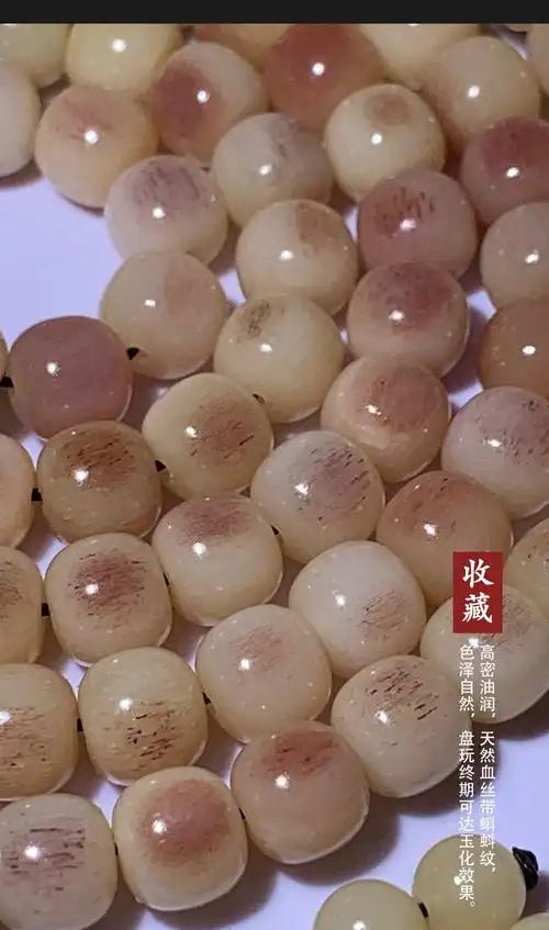 爱优美 天然驼骨手串手链保真骆驼骨老型桶珠未脱脂血丝蝌蚪纹男女款