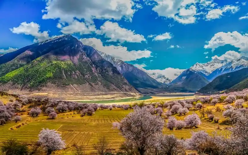 西藏林芝地区桃花沟风景图片电脑高清壁纸