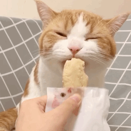 我是评论王第 1 期 | 评论区妙语连珠潜伏的你