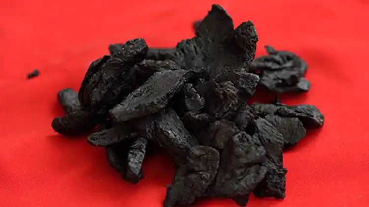 熟地黄的功效与作用,熟地黄的功效,熟地黄的作用-乐哈健康网