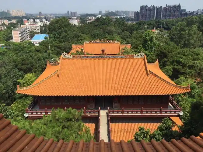 三水森林公园旅游景点攻略图