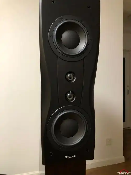 出行货丹拿信心confidence c2铂金版音箱